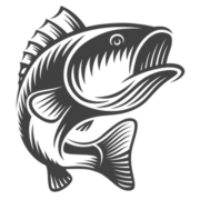 A black and white image of a shark. A black and white image of a shark.