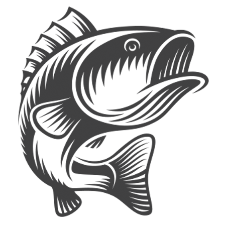 A black and white image of a shark.