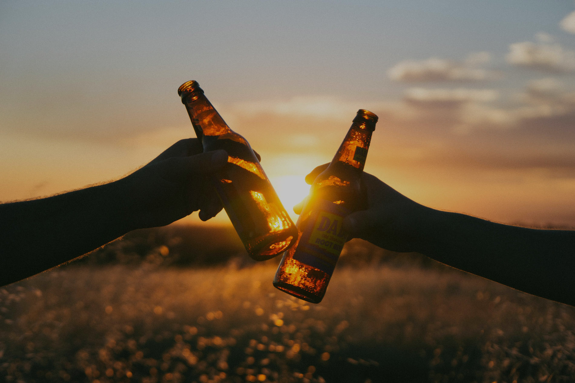 Two hands holding beer bottles in front of a sunset.